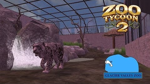 ZT2 | Snow Leopard | Glacier Valley Zoo [5]
