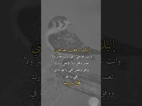ربنا موجود حاجه علم  يسر عجل  قلبي ياالله  امنية  ضيق  اللهم