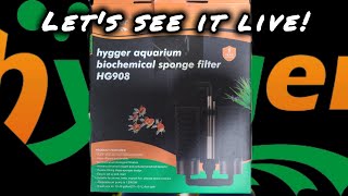 Dual Sponge filter from Hygger!
