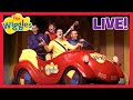 The Wiggles LIVE 🎤 Racing To The Rainbow Tour with Sam Wiggle! 🌈 Nursery Rhymes and Songs for Kids