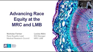 LMB Rising Talent Fellowship
