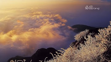 سورة يس ابداع وصوت خاشع مشارى راشد العفاسى Surat Ya Sin