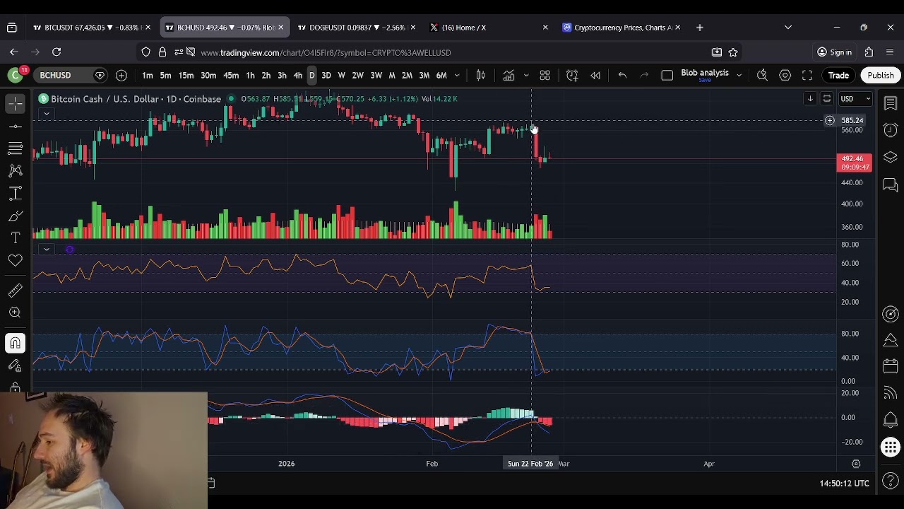 BCH Bitcoin Cash: 26th of February Price Prediction