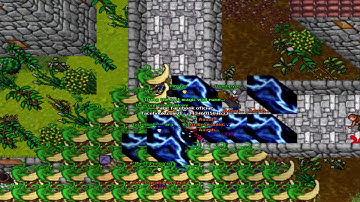 Tibia - Kinshin Enforced #2