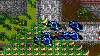 Tibia - Kinshin Enforced #2