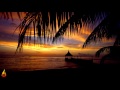 1 hour chill out reggae island music  infest  alific