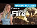 Homo Naledi Used Fire To Cook & Navigate The Cave