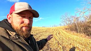 Why Are Farmers Losing Money What It Takes To Grow an Acre Of Corn!