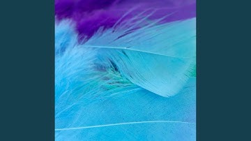 Modern Backdrops for Accepted Daydreams