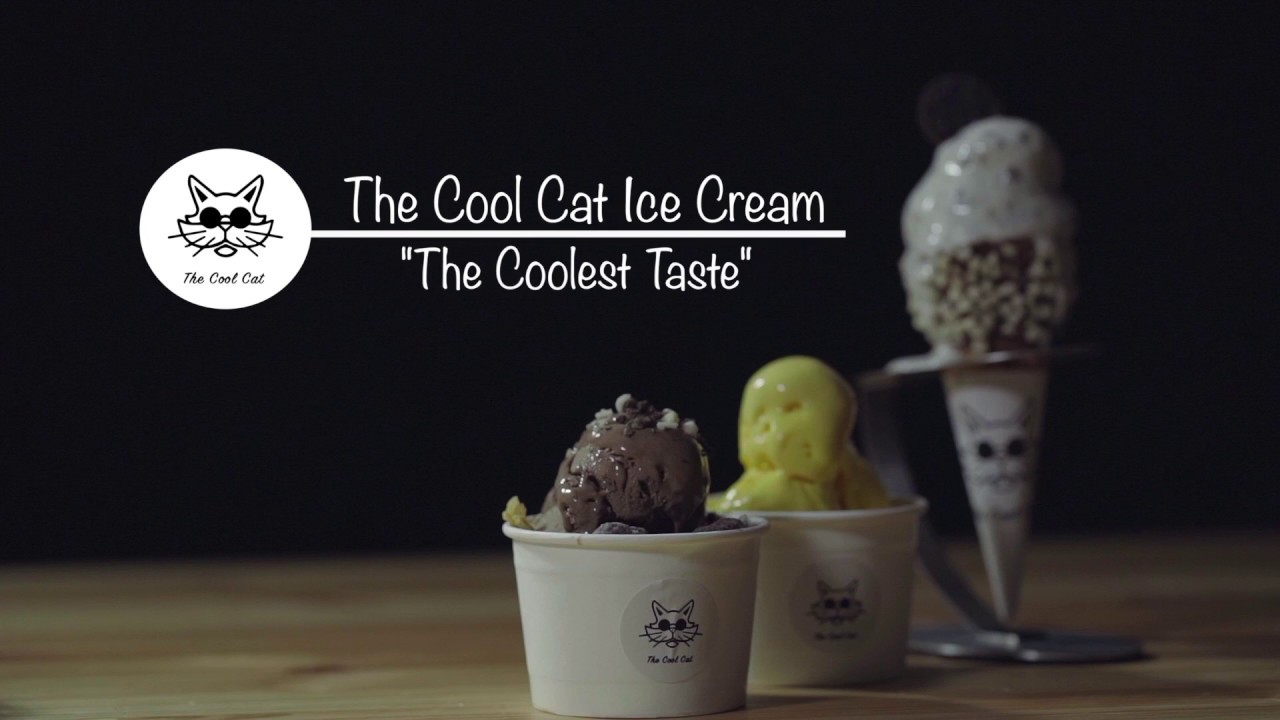 THE COOL CAT PROMO VIDEO YouTube