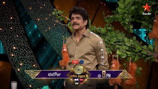 #Nagarjuna Tho Weekend Roast Ki Ready Ah! #Sunny Captaincy Cancel Aa?? #BiggBossTelugu5 Today @ 9 PM Image