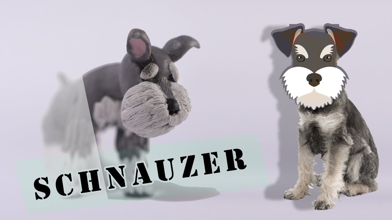 Schnauzer en porcelana fria