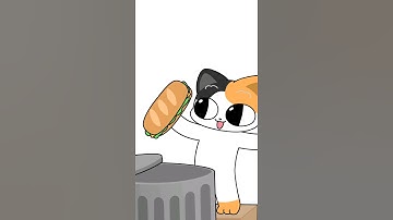 Stray cat in Block Blast
