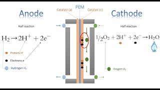 Thermodynamic efficiency of hydrogen fuel cells