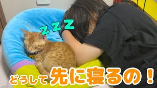 【保護猫】寝ている飼い主に怒りながらも一緒に寝ちゃう子猫がかわいすぎました…