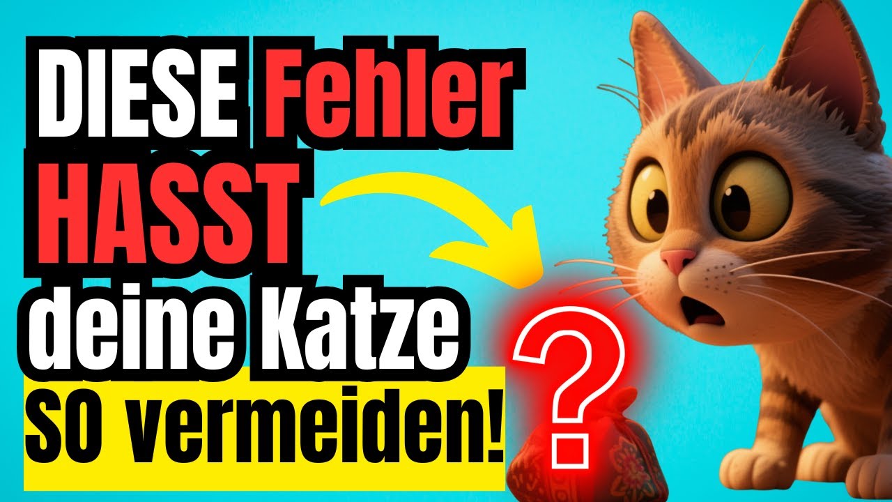 Achtung Katzenhalter: Diese Fehler machen deine Katze heimlich unglücklich – SO vermeidest du sie