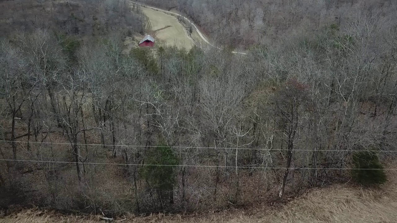 123 Sunflower Road, Reedy, West Virginia. YouTube