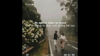 [Vietsub Lyrics] Demons x Jar Of Heart (Remix) | This is my kingdom come