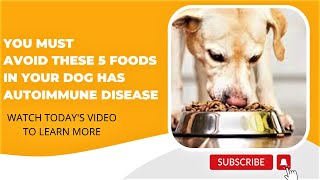 You must avoid these 5 foods if your dog has an AUTOIMMUNE disease