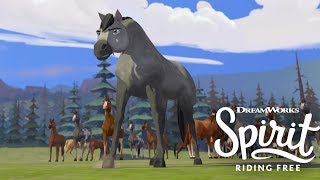Meet the Herd | SPIRIT RIDING FREE | Netflix Resimi