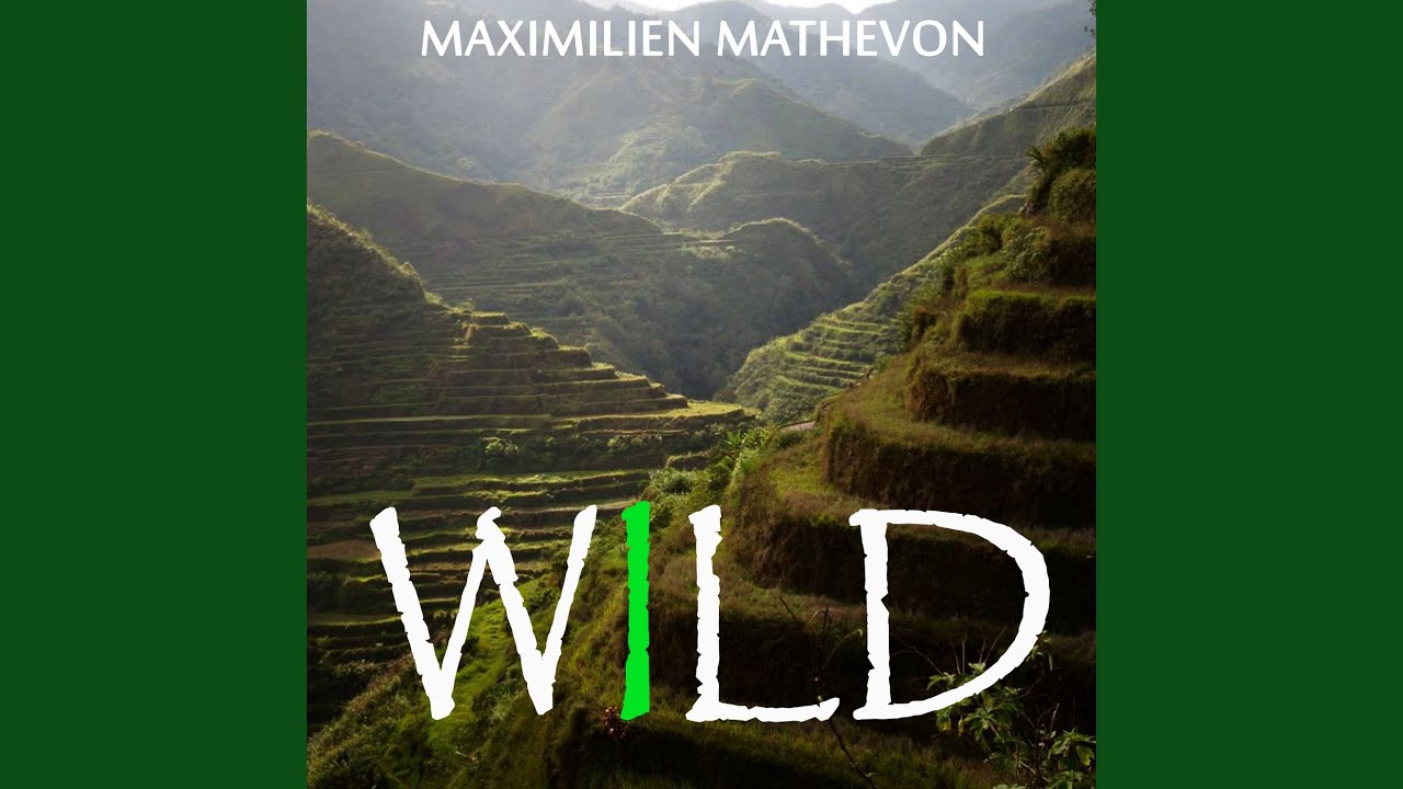 Watch Wild on YouTube Watch Wild on YouTube