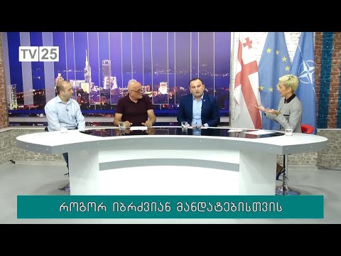 როგორ იბრძვიან მანდატებისთვის
