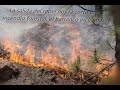 Barranco en llamas (El Portiacha/Sierra de Guara)  INCENDIO FORESTAL, como salimos del fuego.