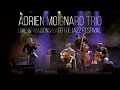 Adrien moignard trio  live  maisonslaffitte jazz festival
