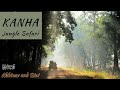 Jungle Safari | Kanha National Park |  Tiger Safari in a Open Gypsi