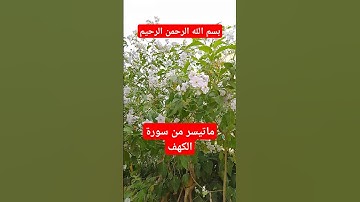 #قرآن #سورة_الكهف #ماهر_المعيقلي #اكسبلور #islamicvideo #reels #islamicstatus