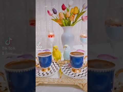 انت روحي الحنونة تصويري علتكتوك حالات وتس اب