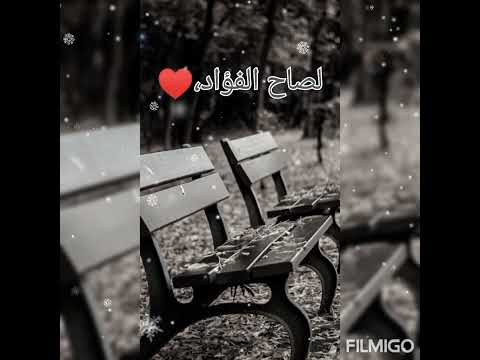 أجل كيف أرنو لعيش مرير أجمل الاناشيد 