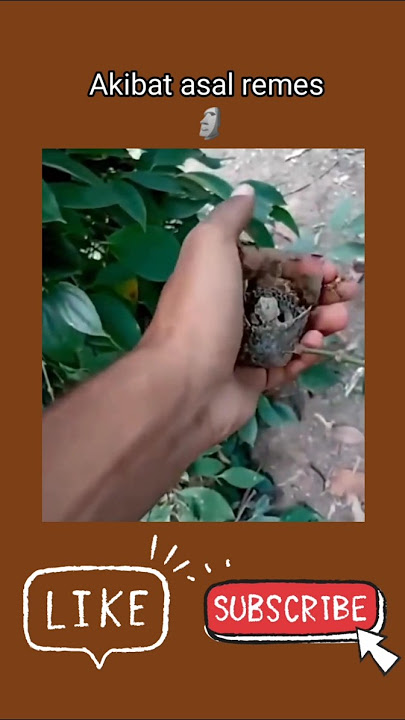 yaelah maen remes aje #hiburan #videolucu