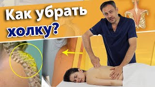 Горб на шее! Как избавиться от холки? | Причины и принципы работы с холкой