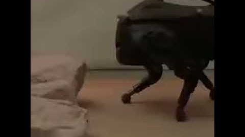 LittleDog robot