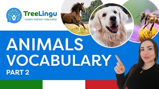 Italian animal vocabulary pt.2 - Impara con Treelingu 🇮🇹 | Learn Italian naturally