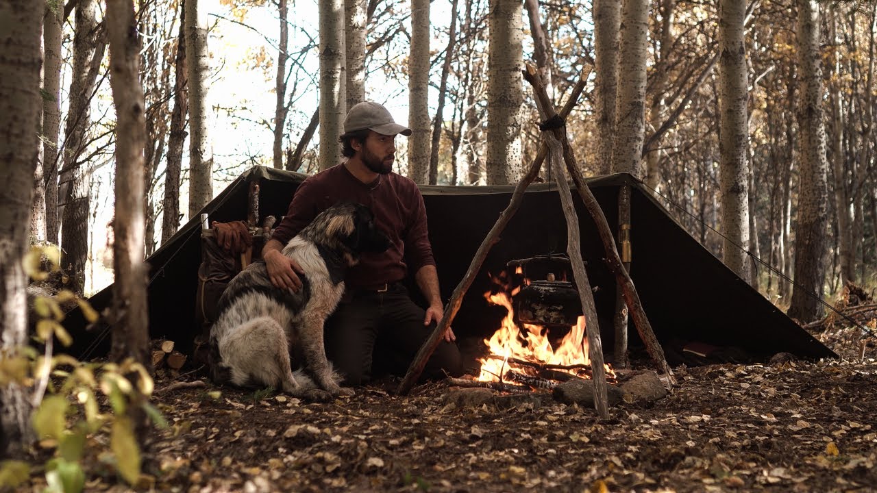 Solo Camping with my Puppy - Half Tent Shelter, Camp Cooking, Bushcraft Skills, Canadian Wilderness