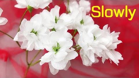 ABC TV | How To Make Tissue Paper Flower (Slowly) - Craft Tutorial