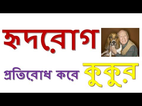 ভিডিও: কুকুরের মধ্যে ভালভের ত্রুটির কারণে হার্টের ব্যর্থতা