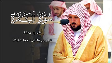تلاوات فريدة ترق لها القلوب من الغريد الشيخ د. ماهر المعيقلي | مغرب وعشاء الخميس ٢٨-١٢-١٤٤٥هـ