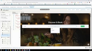 Zomato integration with Lightning web component in salesforce playground