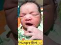 Hungry newborn baby video#viral#shortvideo