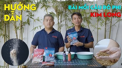 Hướng Dẫn Bài Mồi Câu Rô Phi Kim Long Cho Mọi Loại Thời Tiết | VIETNAM FISHING TV
