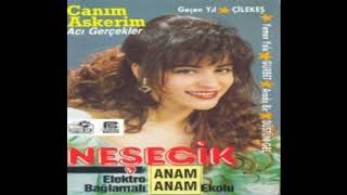 Neşecik -  Gurbet Resimi