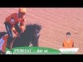 Akhal Teke stallions racing in Turkmenistan 26 April 2015