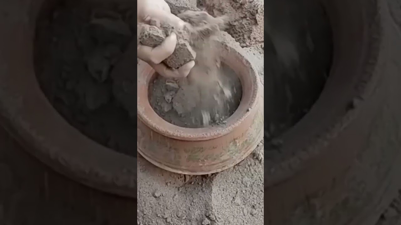 super crunchy crispy Dusty 😷🤤❤️ 