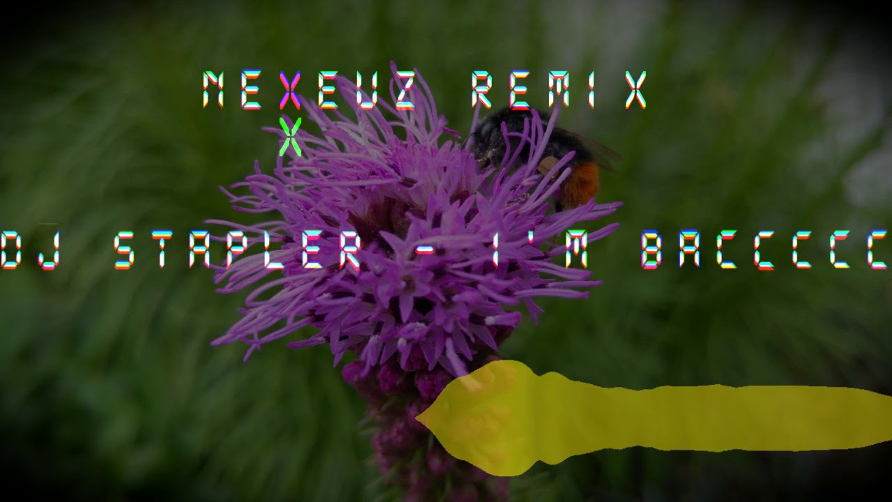 DJ Stapler - I'm Back (Nexeuz Remix)