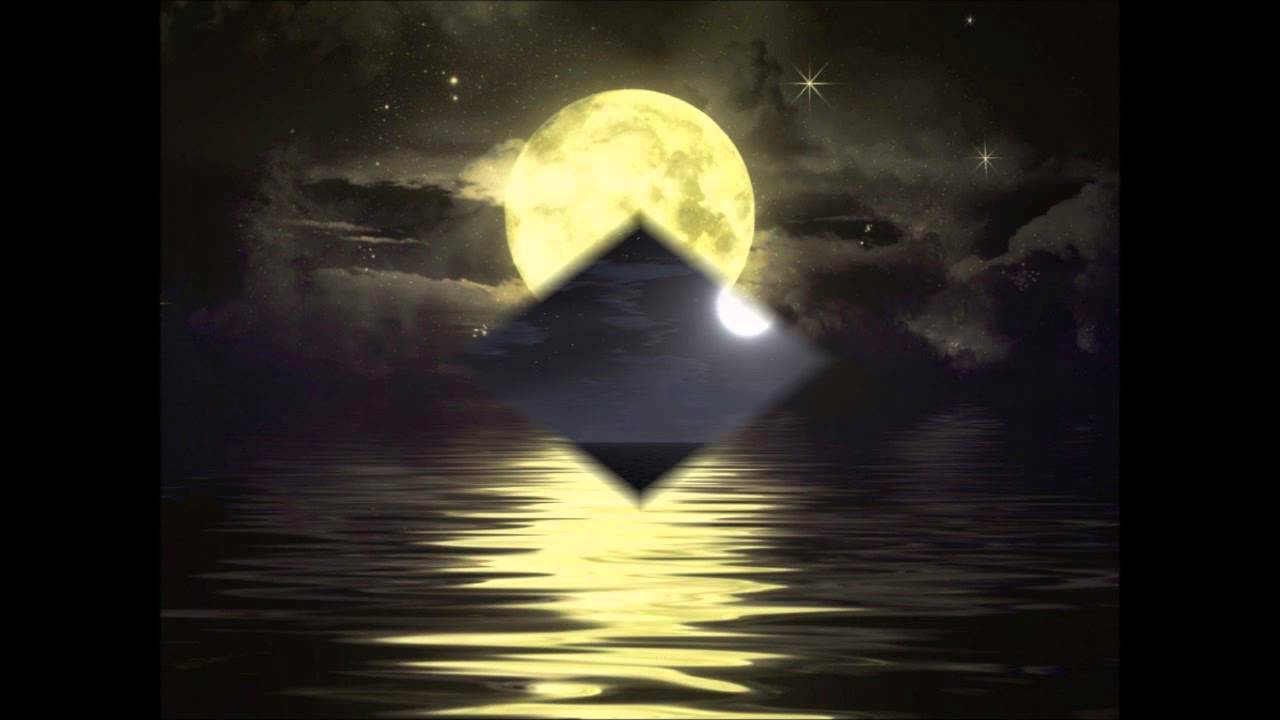 Kitty The Bill - Moon Lagoon