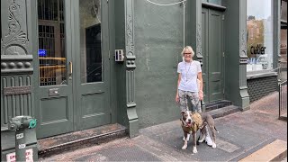 New York City LIVE Exploring SoHo Cast Iron Architecture in Manhattan Tour w/Hudson May 13, 2023
