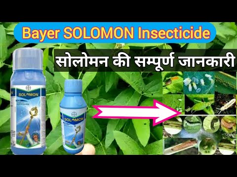 सोलोमन की सम्पूर्ण जानकारी|bayer solomon insecticide in hindi|Beta cyfluthrin+imidacloprid|
